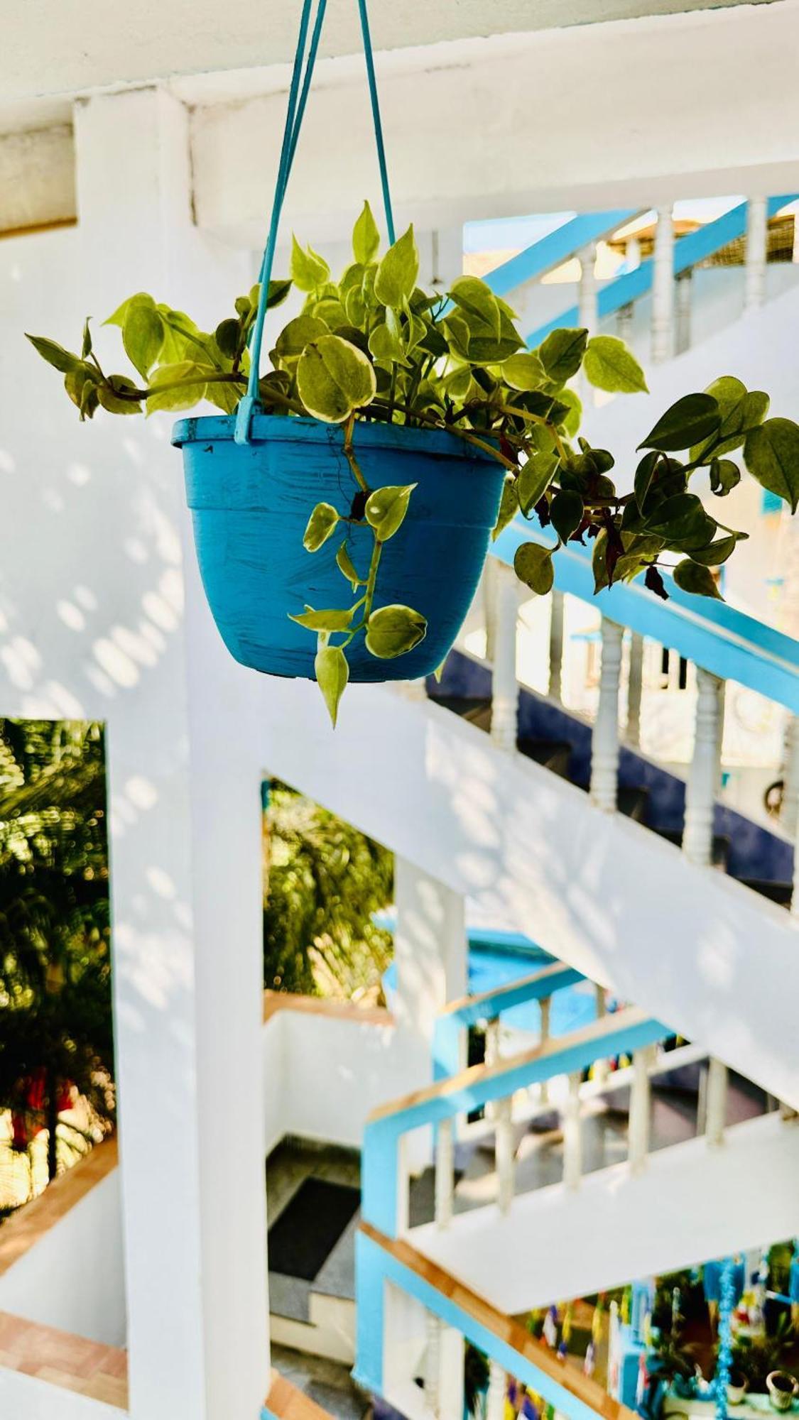 Omkar Wellness Inn Arambol Buitenkant foto