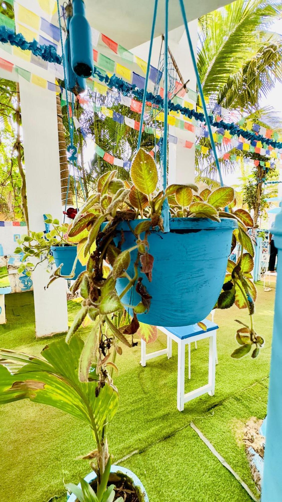 Omkar Wellness Inn Arambol Buitenkant foto