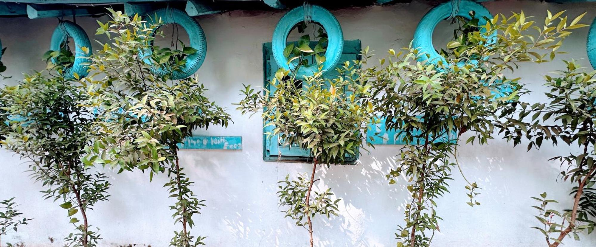 Omkar Wellness Inn Arambol Buitenkant foto